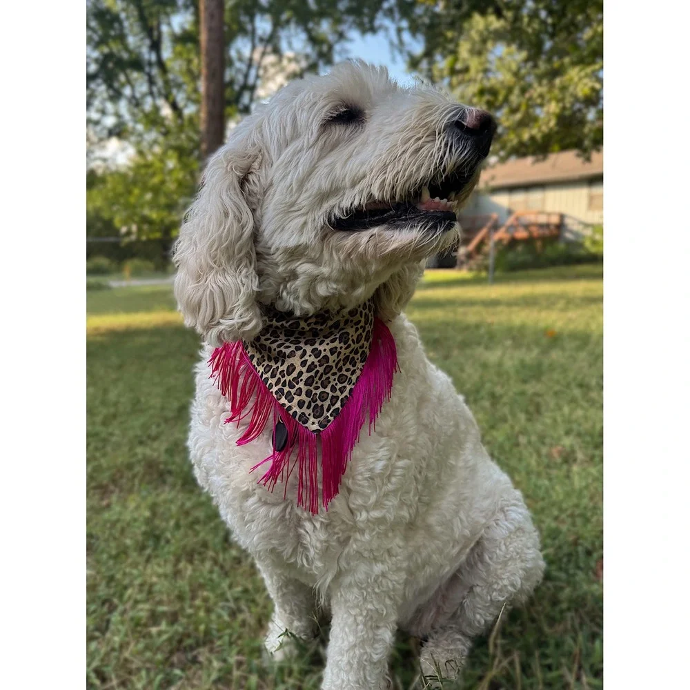 Honky Tonk Hottie Leopard Fringe Dog Bandana Pink Western Handmade Pet Accessory